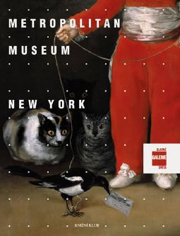 METROPOLITAN MUSEUM NEW YORK