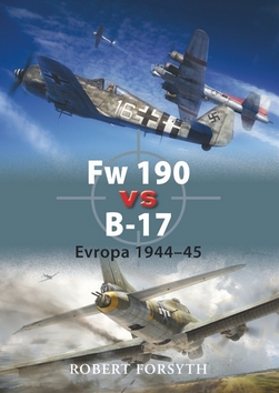 FW 190 VS B-17.