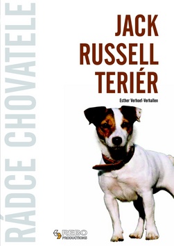 JACK RUSSELL TERIER - RADCE CHOVATELE