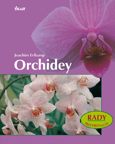 ORCHIDEY