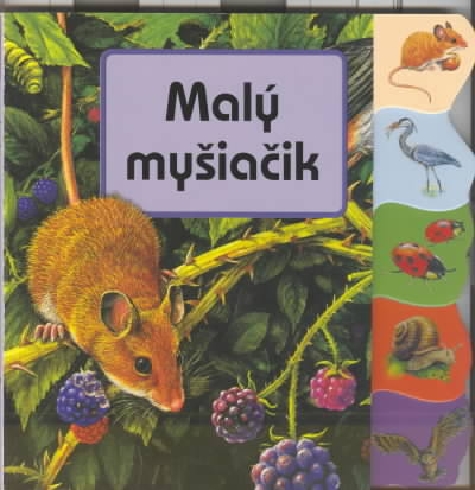MALY MYSIACIK