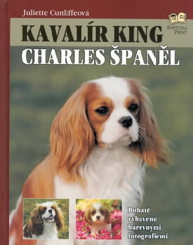 KAVALIR KING CHARLES SPANEL