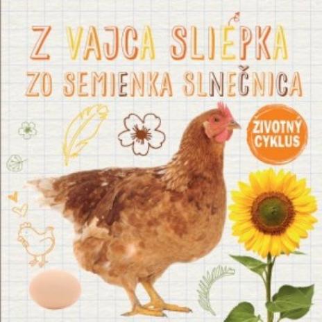 Z VAJCA SLIEPKA ZO SEMIENKA SLNECNICA