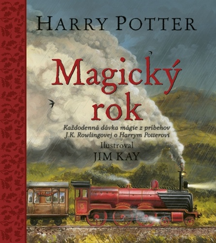 HARRY POTTER MAGICKY ROK